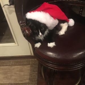 Meet your Posher, Brent